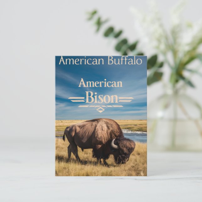 Postal Bison Grazing by the River (Anverso de pie)