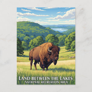 Postal Bison in Land Between Lakes Kentucky