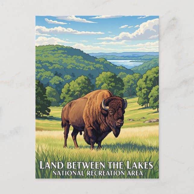 Postal Bison in Land Between Lakes Kentucky (Anverso)