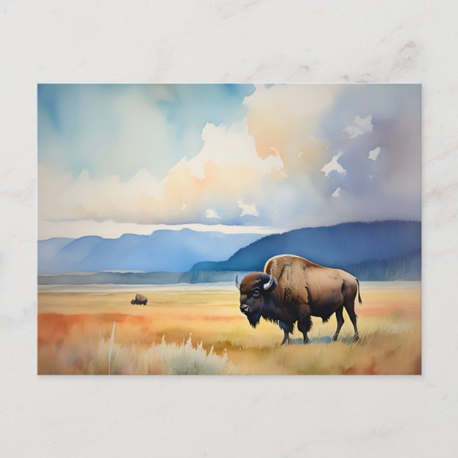 Postal Bison in the Meadow (Anverso)