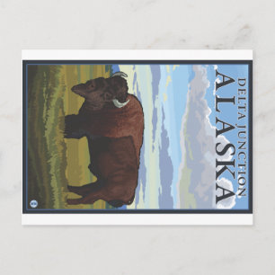 Postal Bison Scene - Delta Junction, Alaska