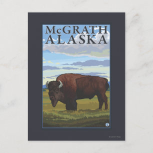 Postal Bison Scene - McGrath, Alaska