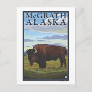 Postal Bison Scene - McGrath, Alaska
