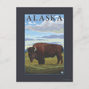 Postal Bison Scene - Poster de Viajes Vintage