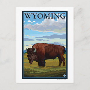 Postal Bison Scene WyomingVintage Travel Poster