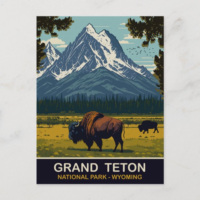 Postal Bisones, Parque Natural Grand Teton, Wyoming, Viaj (Anverso)