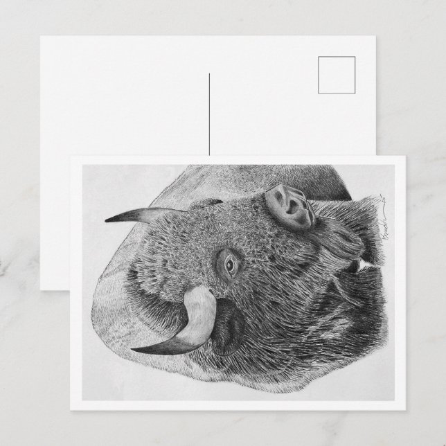 Postal Bisonte Americano (Anverso / Reverso)
