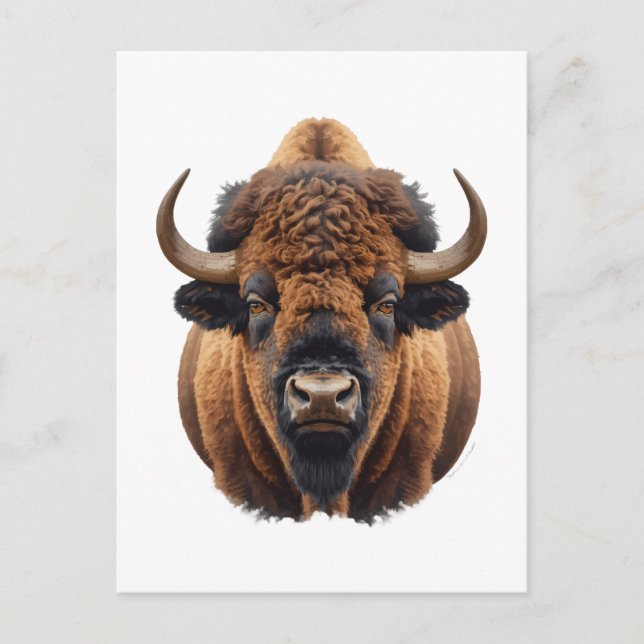 Postal Bisonte / Búfalo (Anverso)