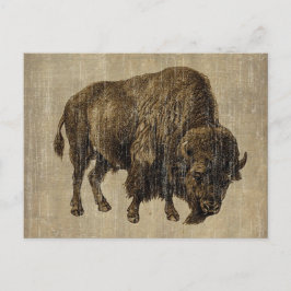Postal Bisonte Vintage