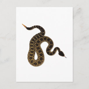 Postal Bites venenosos