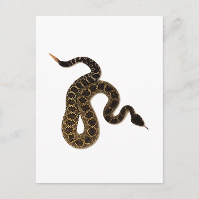 Postal Bites venenosos (Anverso)