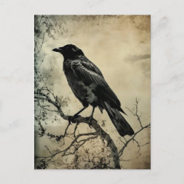 Postal Black and Sepia Gothic Crow
