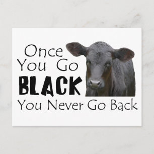 Postal Black Angus Funny Cow Photo