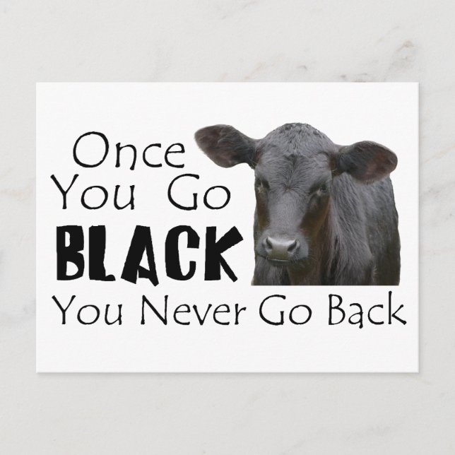 Postal Black Angus Funny Cow Photo (Anverso)