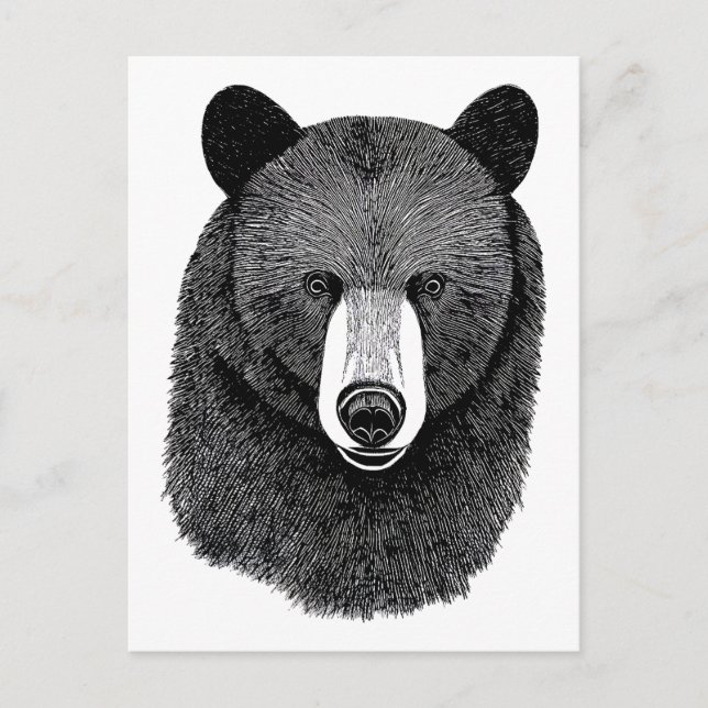 Postal Black Bear Face original Dibujo de arte animal (Anverso)