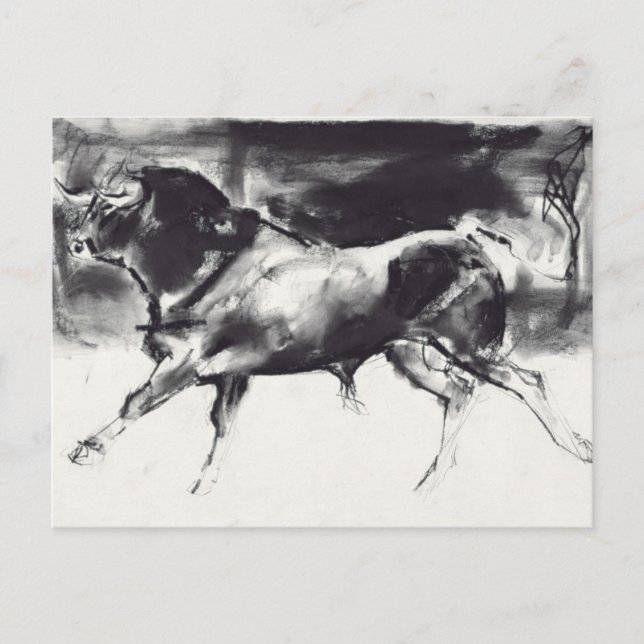 Postal Black Bull (Anverso)