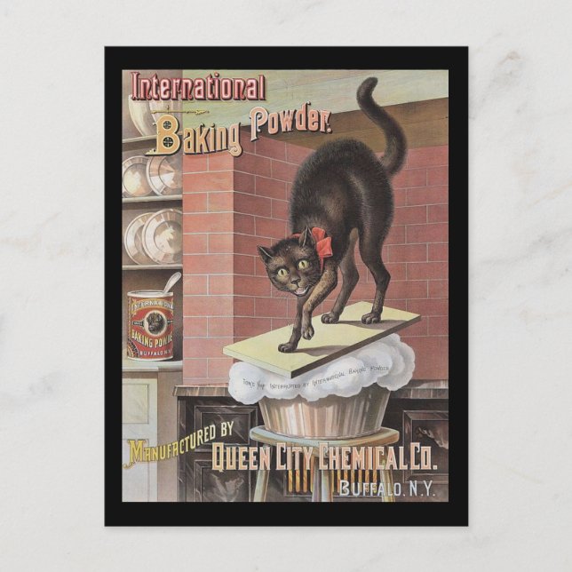 Postal Black Cat Baking Soda Buffalo New York (Anverso)