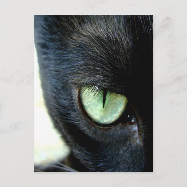 Postal Black Cat Eye (Anverso)