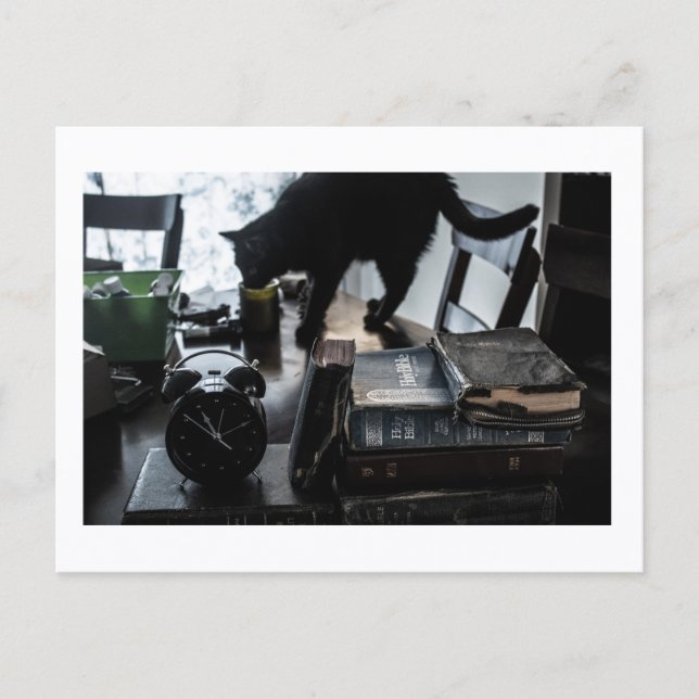 Postal Black Cat Postcard Print by JH Thornton (Anverso)