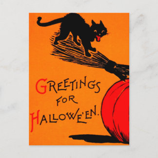 Postal Black Cat Pumpkin & Broomstick Vintage Halloween
