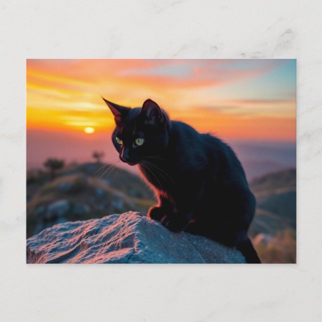 Postal Black Cat Silhouette at Sunset Postcard (Anverso)