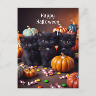 Postal Black Cats and Pumpkins Halloween Night Scene