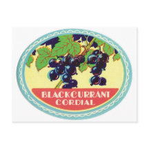 Black Currant Cordial Darries Berries Vintage Labe