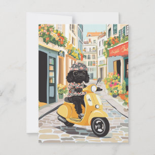 Postal Black Doodle Riding Scooter Calles europeas