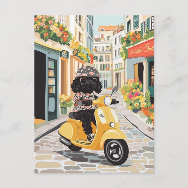 Postal Black Doodle Riding Scooter Calles europeas