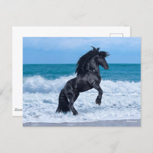 Postal Black Friesian Stallion Rearing In the Sea