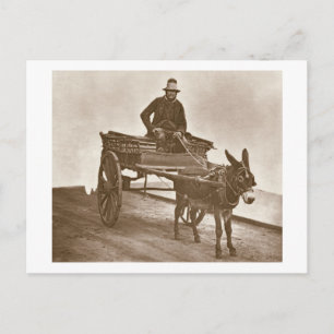 Postal Black Jack, de 'Street Life in London', 1877-78