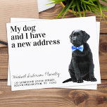 Postal Black Lab Hemos mudado a un nuevo perro de direcci<br><div class="desc">¡Mi Perro Y Yo Tenemos Una Nueva Dirección! Deja que tu mejor amigo anuncie tu movimiento con esta tierna y divertida tarjeta de invitación de mascota en movimiento. Personaliza los nombres del perro y tu nueva dirección. Este perro labrador negro que mueve la invitación es imprescindible para todos los amantes...</div>