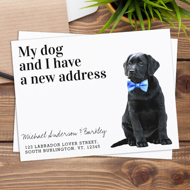 Postal Black Lab Hemos mudado a un nuevo perro de direcci (Subido por el creador)