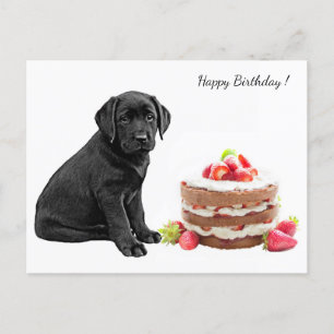 Postal Black Lab Puppy - cumpleaños feliz de perro - Labr