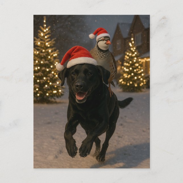 Postal Black Labrador and Partridge Christmas postcard (Anverso)