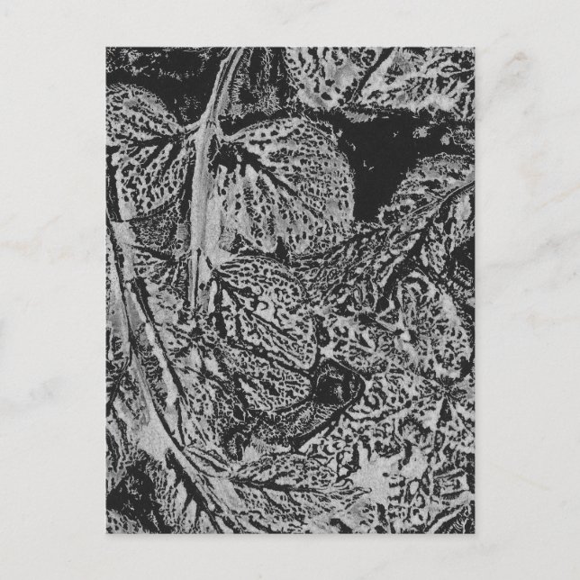 Postal Black leafs (Anverso)