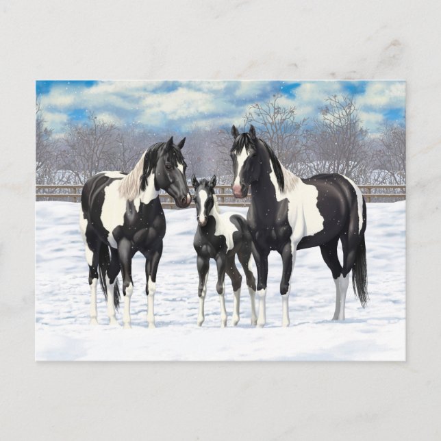 Postal Black Pinto Quarter Horse Pintando En Nieve (Anverso)