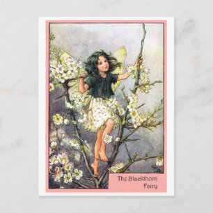 Postal Black thorn Fairy