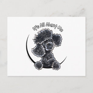 Postal Black Toy Poodle IAAM