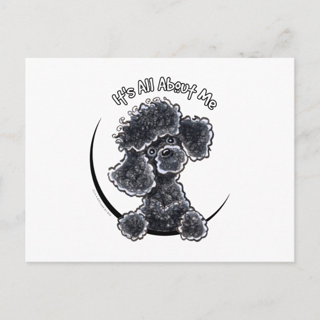 Postal Black Toy Poodle IAAM (Anverso)