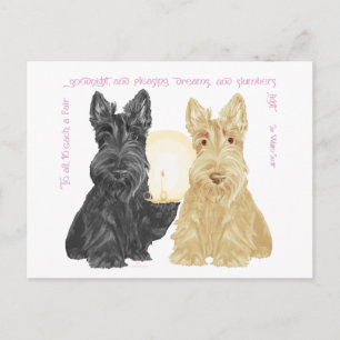 Postal Black & Wheaten Buenas Noches Scotties