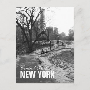 Postal Black White Central Park Nueva York