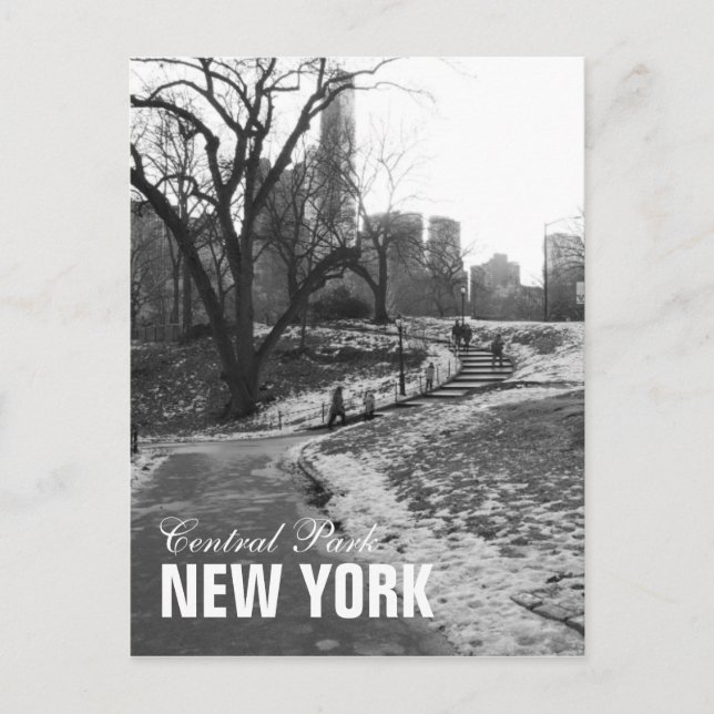 Postal Black White Central Park Nueva York (Anverso)