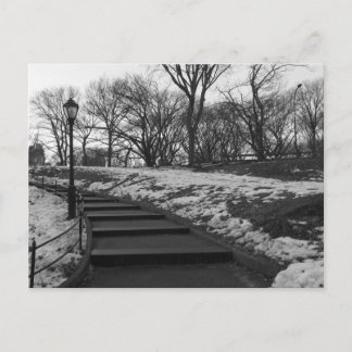 Postal Black White NY Central Park