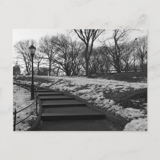 Postal Black White NY Central Park (Anverso)