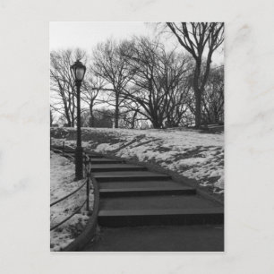 Postal Black White NY Central Park