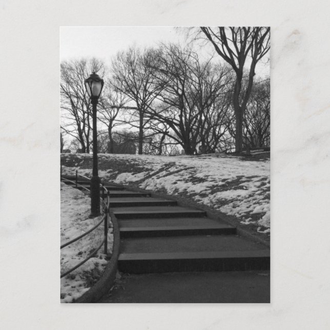 Postal Black White NY Central Park (Anverso)