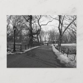 Postal Black White NY Central Park