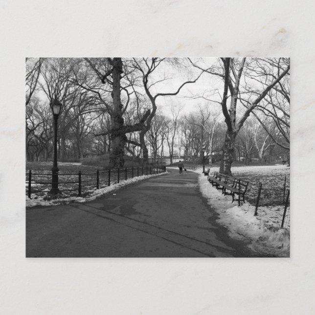 Postal Black White NY Central Park (Anverso)