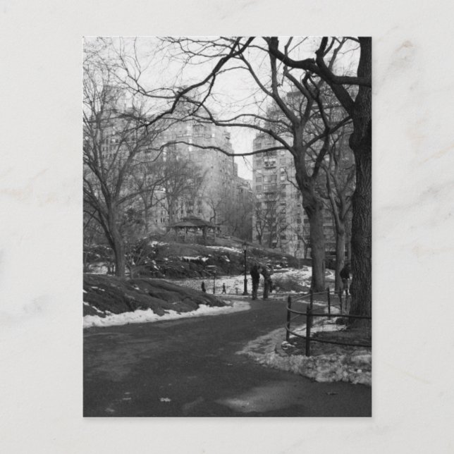 Postal Black White NY Central Park (Anverso)